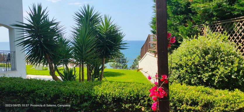 Dettaglio giardino